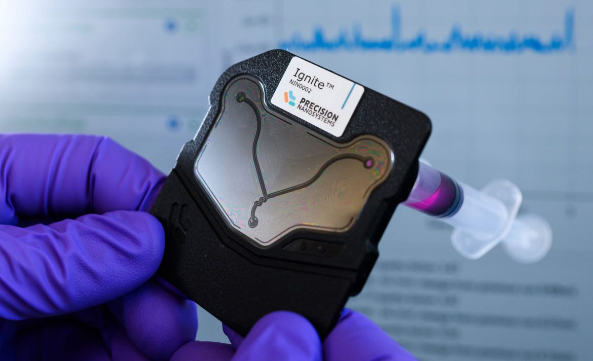 Cancer-targeting nanoparticles are moving closer to human trials