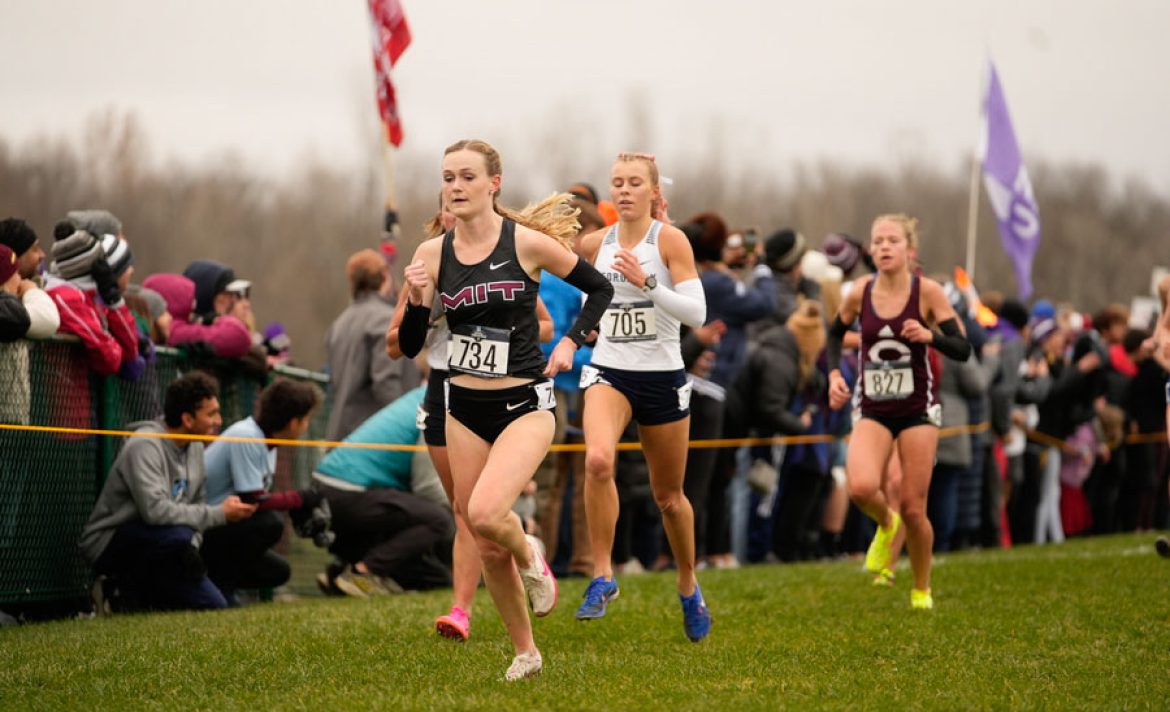 An epic year for women’s sports