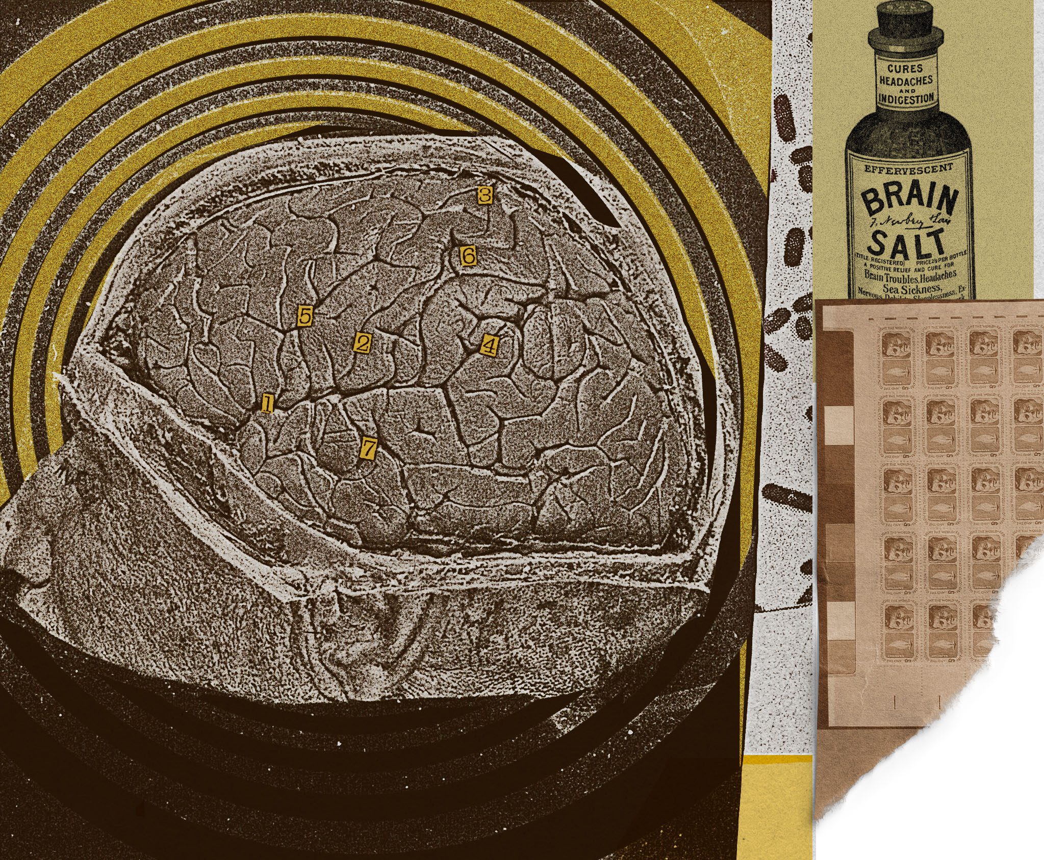 How conspiracy theories infiltrated the doctor’s office