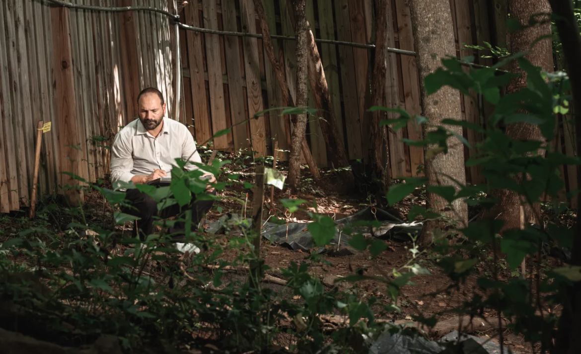 The Download: down the Mandela effect rabbit hole, and the promise of a vaccine for colds