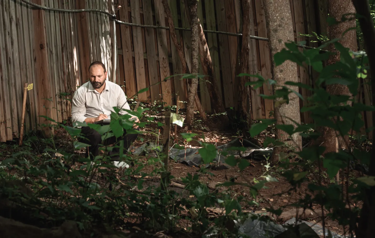 The Download: down the Mandela effect rabbit hole, and the promise of a vaccine for colds