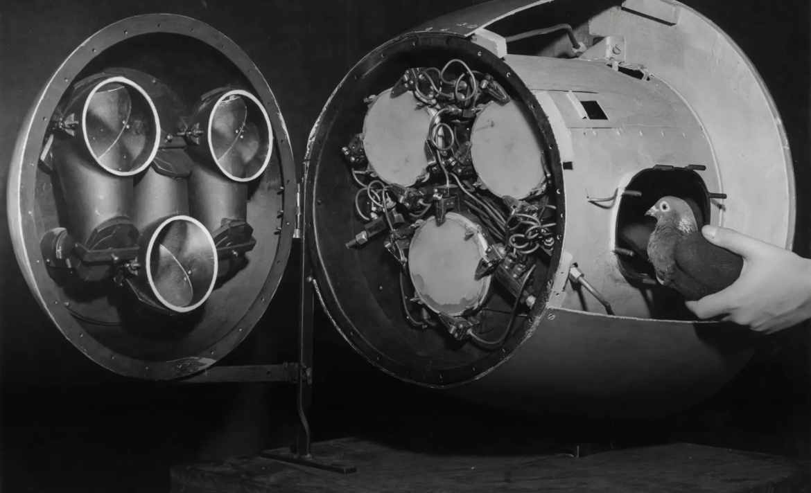 The Download: Big Tech’s carbon removals plans, and the next wave of nuclear reactors