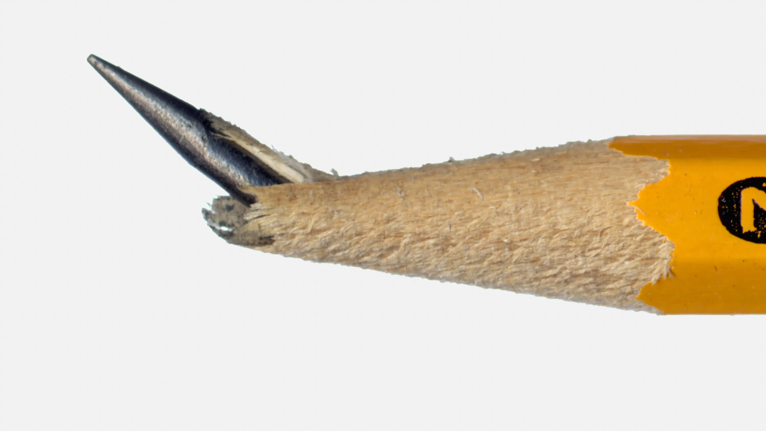 The Download: busting weather myths, and AI heart attack prediction