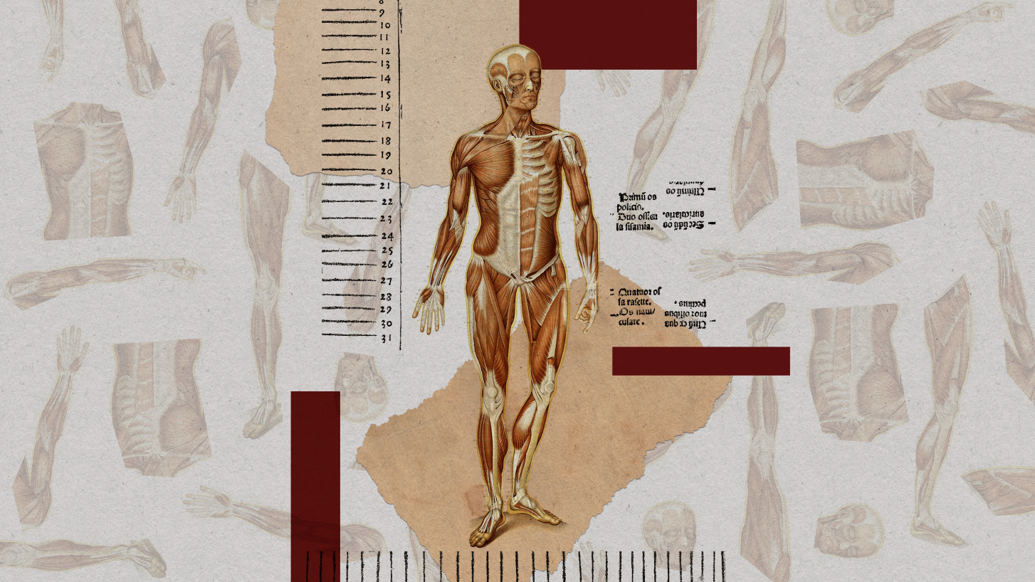 The Download: how doctors fight conspiracy theories, and your AI footprint