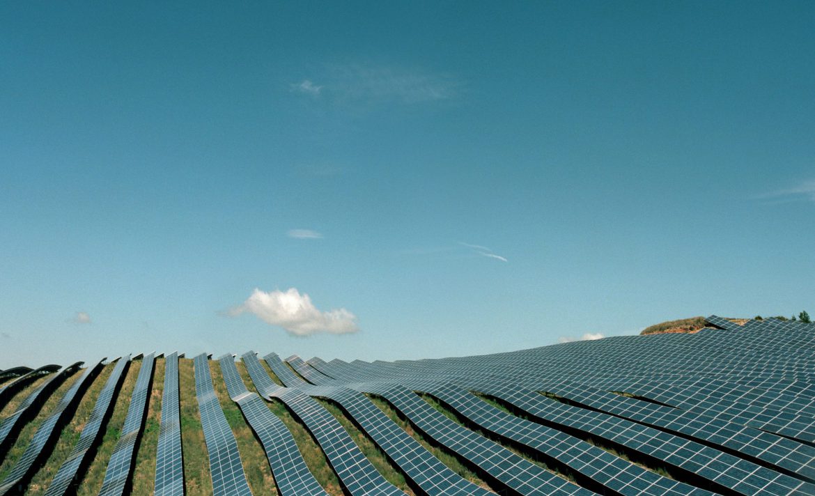 Four bright spots in climate news in 2025