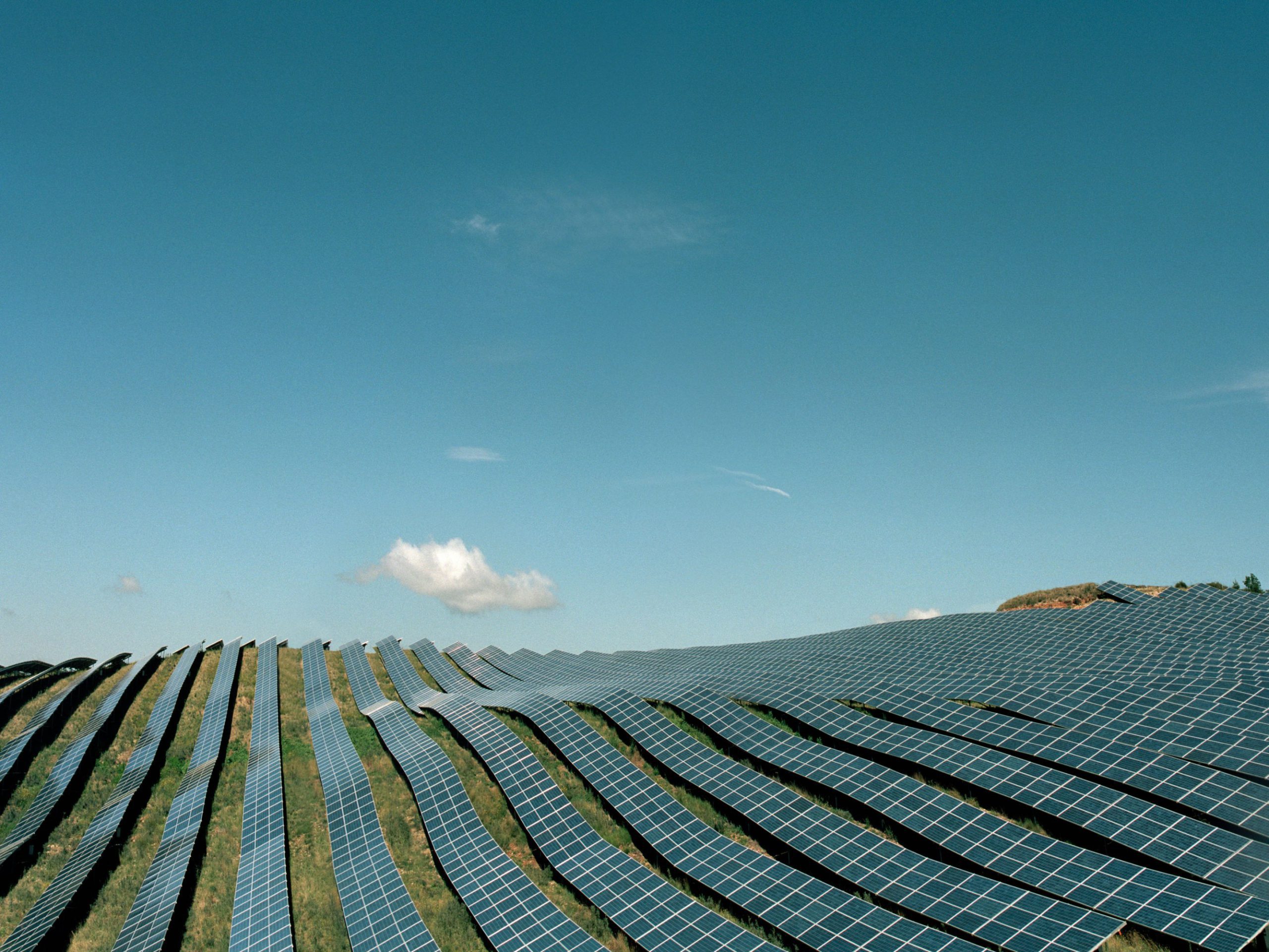 Four bright spots in climate news in 2025