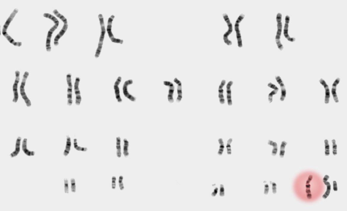 The Download: political chatbot persuasion, and gene editing adverts