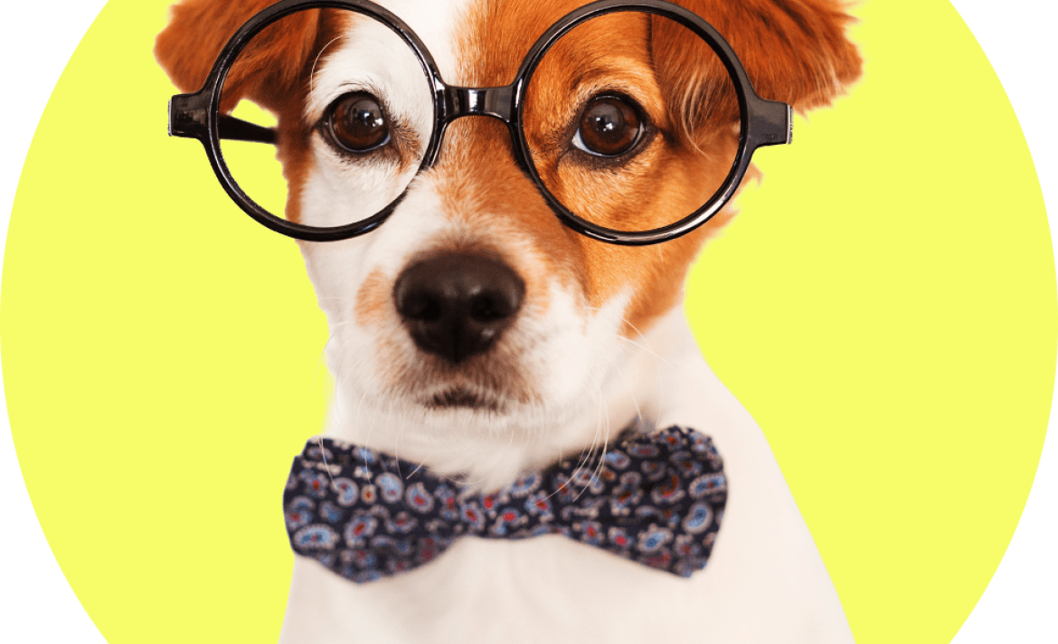 AI Wrapped: The 14 AI terms you couldn’t avoid in 2025