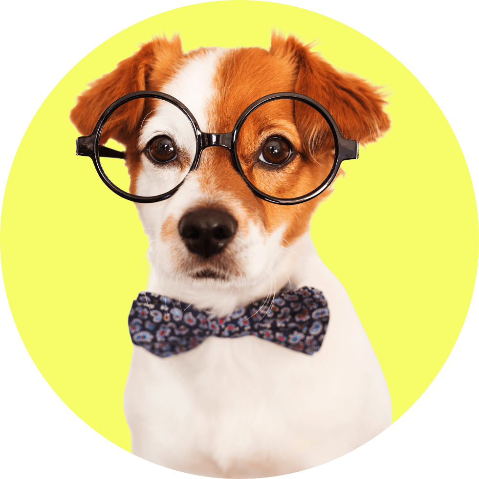 AI Wrapped: The 14 AI terms you couldn’t avoid in 2025