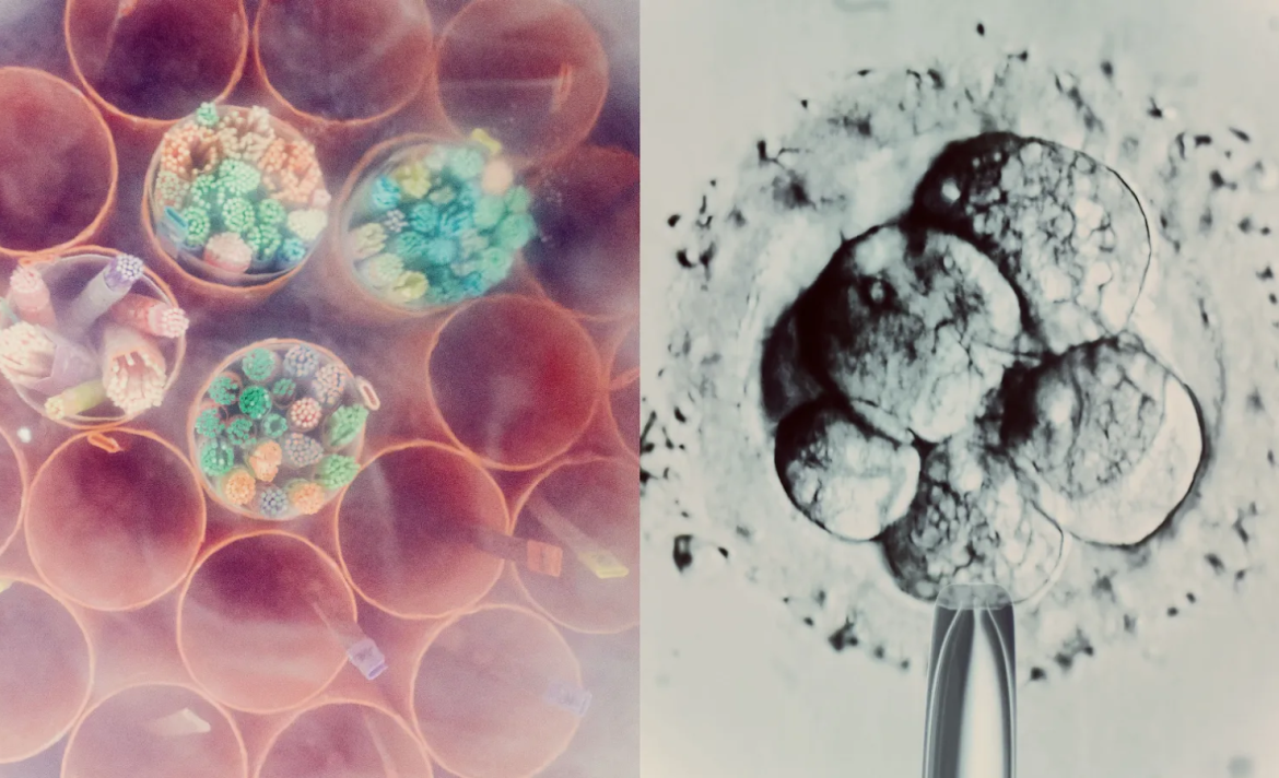 The Download: mimicking pregnancy’s first moments in a lab, and AI parameters explained