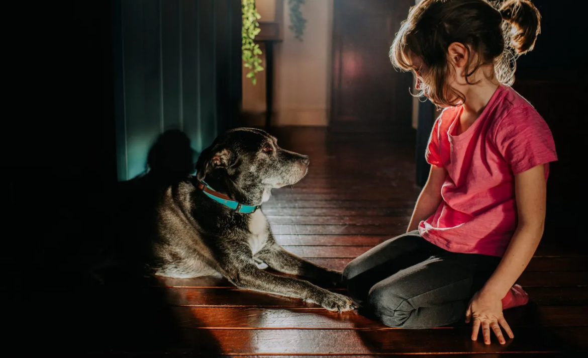 The Download: introducing the Crime issue