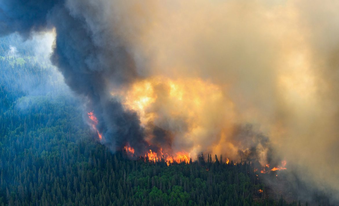 This startup claims it can stop lightning and prevent catastrophic wildfires