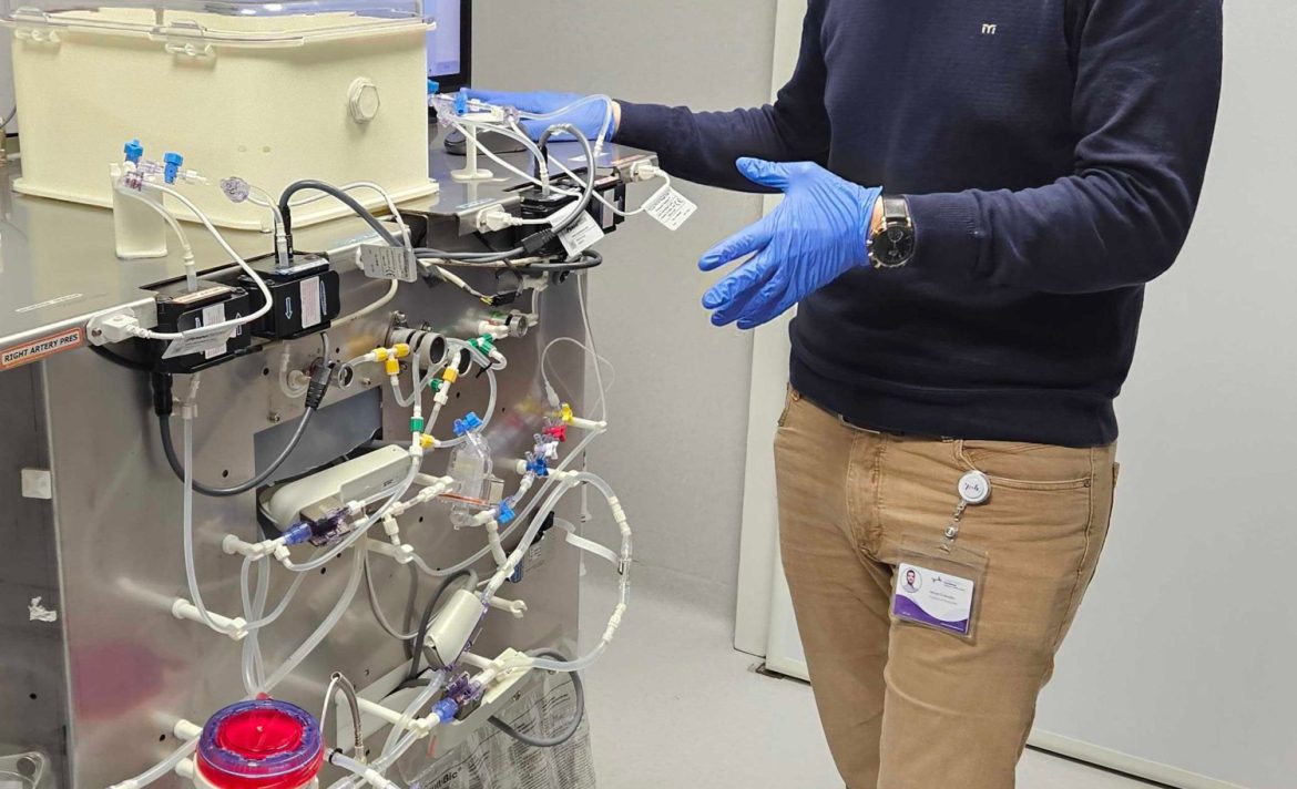 A woman’s uterus has been kept alive outside the body for the first time