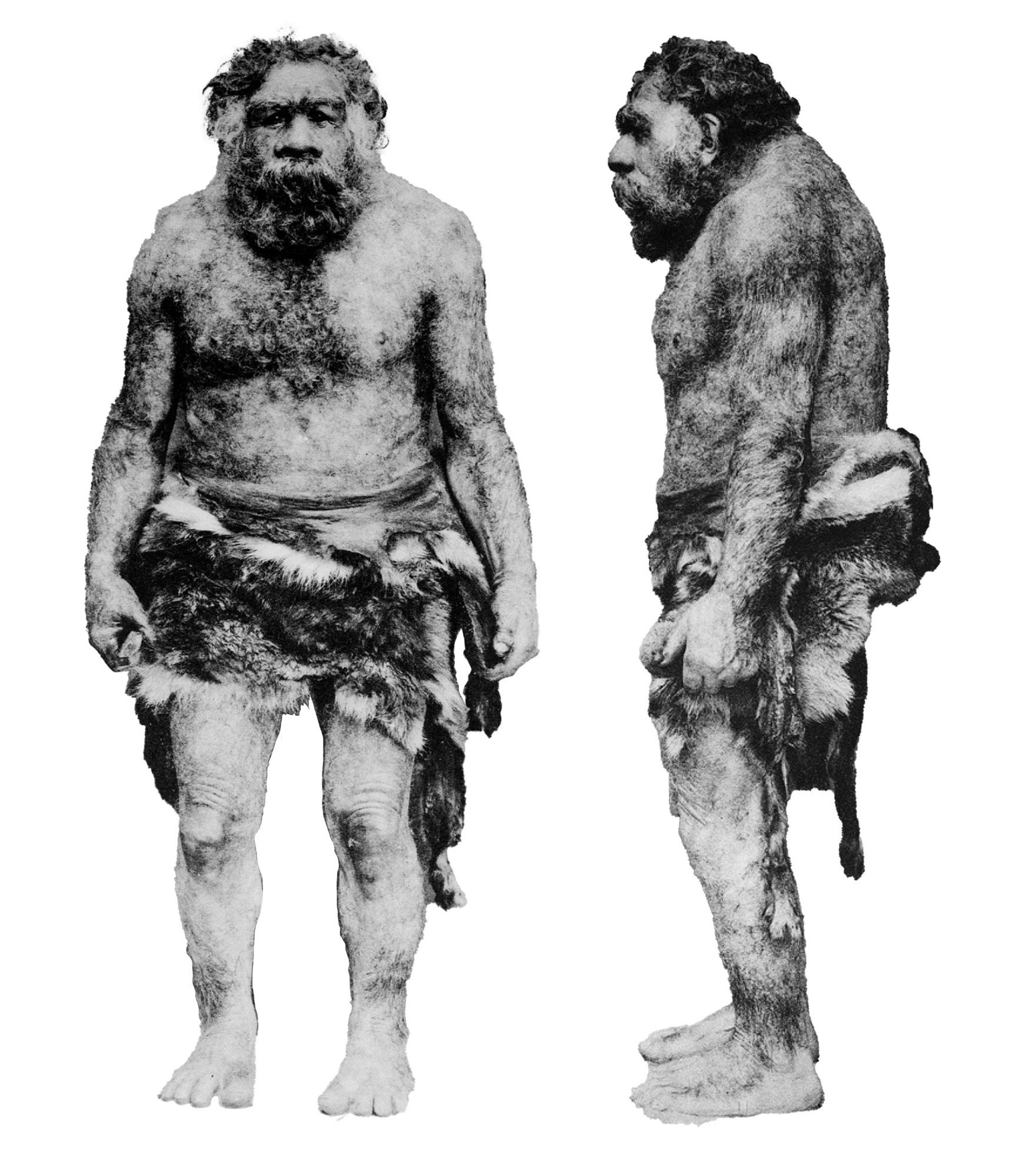 The problem with thinking you’re part Neanderthal